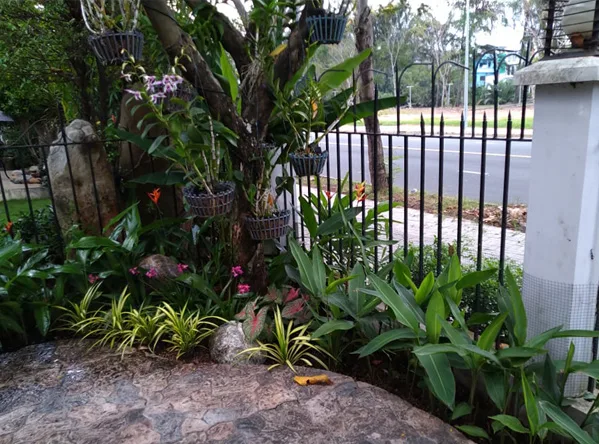 Thi công sân vườn nhà phố - Phú Mỹ Hưng
