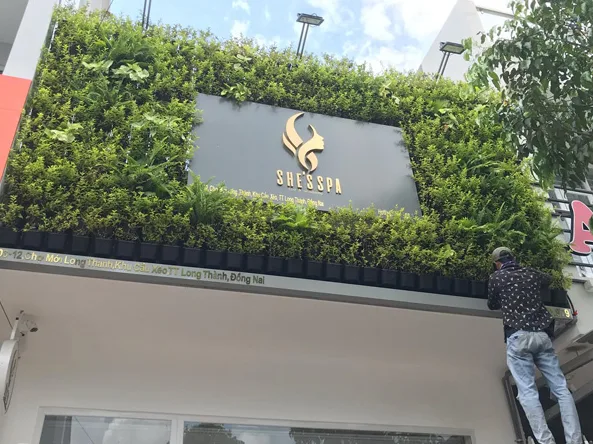 Thi công sân vườn spa
