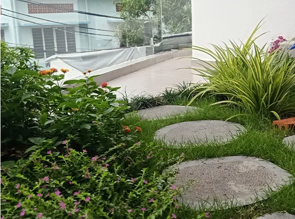 Thi công tiểu cảnh sân vườn nhà phố