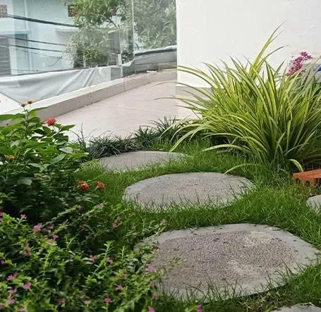 Thi công tiểu cảnh sân vườn nhà phố