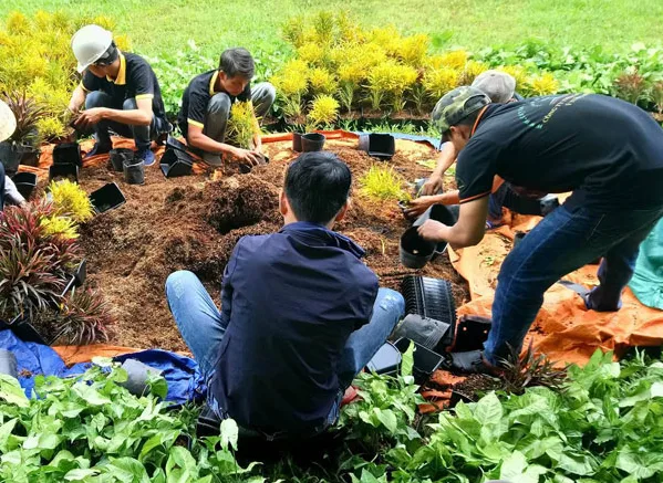 Thi công tiểu cảnh sân vườn