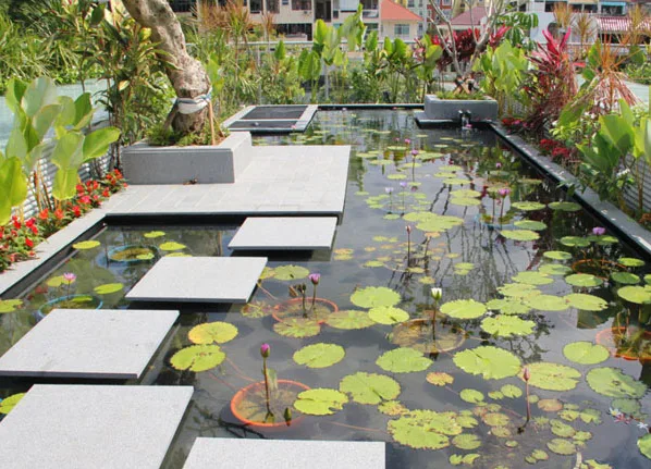 Thi công tiểu cảnh sân vườn