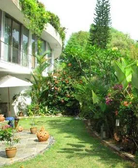 Thi công tiểu cảnh sân vườn