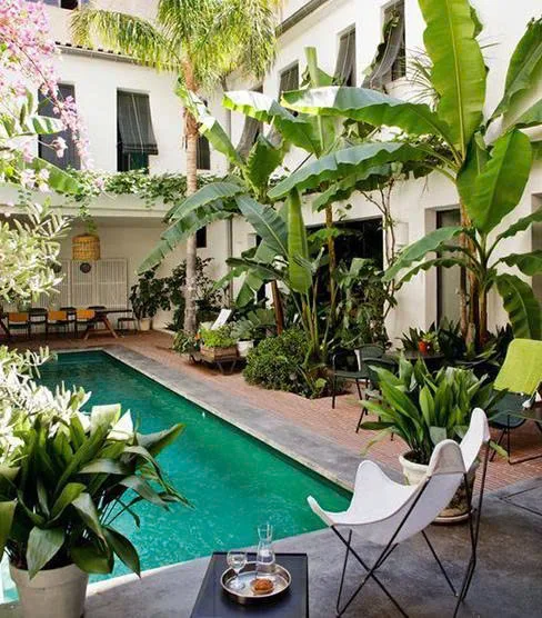 Thi công trồng cây cảnh cho sân vườn