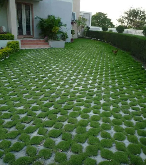 Thi công trồng cỏ sân vườn