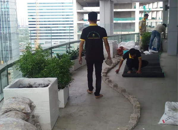 Thi công vườn trên mái