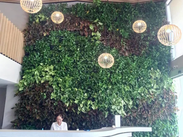 Thiết kế cảnh quan khách sạn