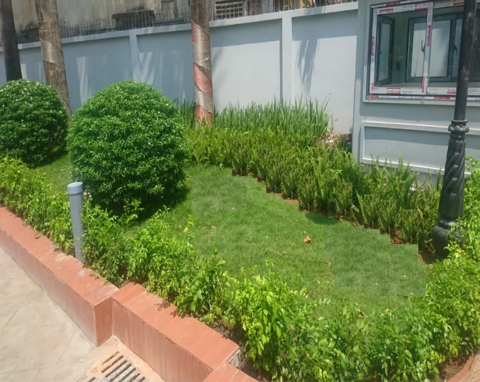 Thiết kế cảnh quan sân vườn chung cư