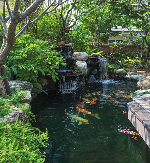 Thiết kế hồ cá sân vườn