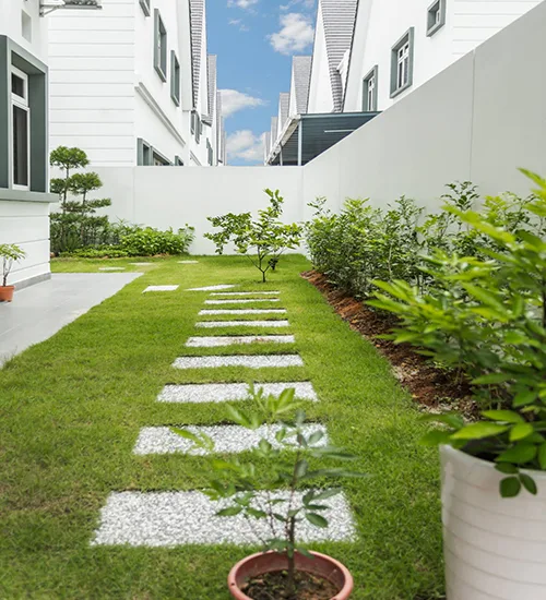 Thiết kế sân vườn hiện đại