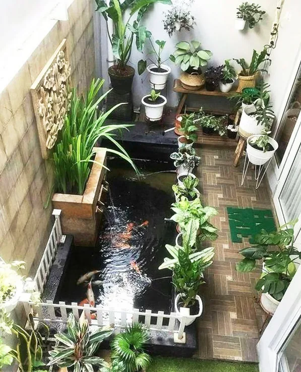 Thiết kế sân vườn sau nhà