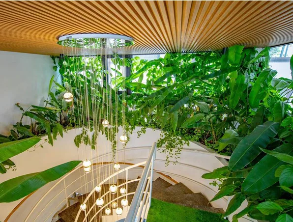 Thiết kế sân vườn spa