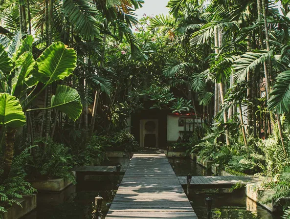 Thiết kế sân vườn spa