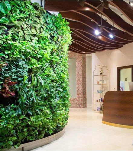 Thiết kế sân vườn spa