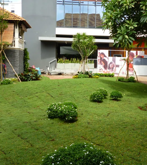 Thiết kế sân vườn trường học