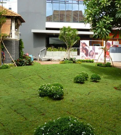 Thiết kế sân vườn trường học