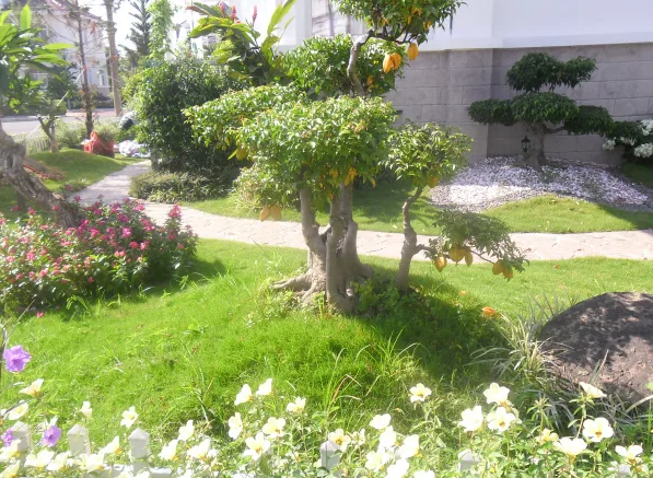 Thiết kế thi công cảnh quan biệt thự Chateau Phú Mỹ Hưng