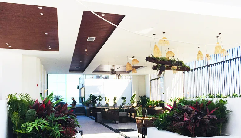 Thiết kế thi công cảnh quan khách sạn Potique - Nha Trang