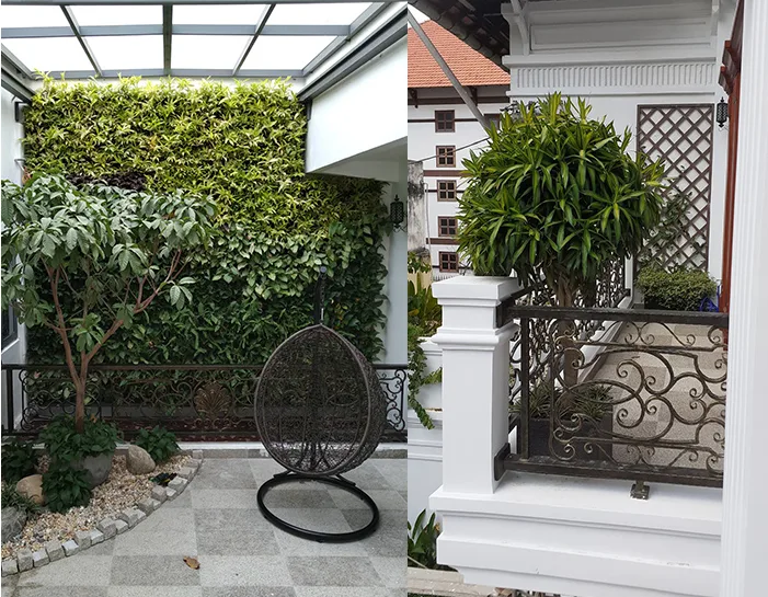 Thiết kế thi công cảnh quan nhà phố quận 1