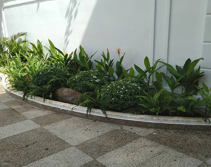 Thiết kế thi công cảnh quan nhà phố quận 1