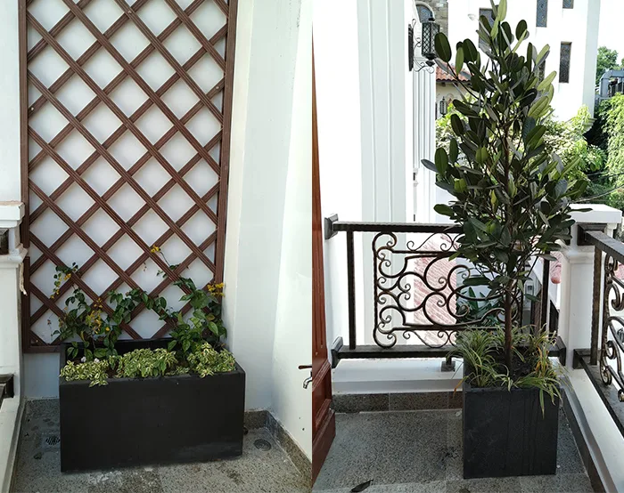 Thiết kế thi công cảnh quan nhà phố quận 1