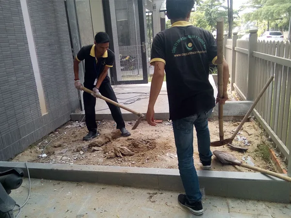 Thiết kế thi công cảnh quan sân vườn Bình Chánh