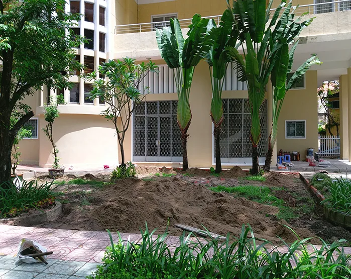 Thiết kế thi công cảnh quan sân vườn khu dân cư