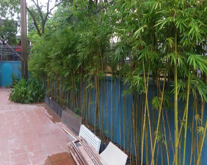 Thiết kế thi công cảnh quan sân vườn khu dân cư