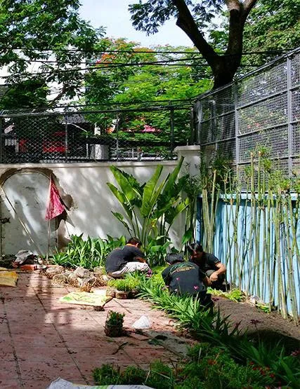 Thiết kế thi công cảnh quan sân vườn khu dân cư
