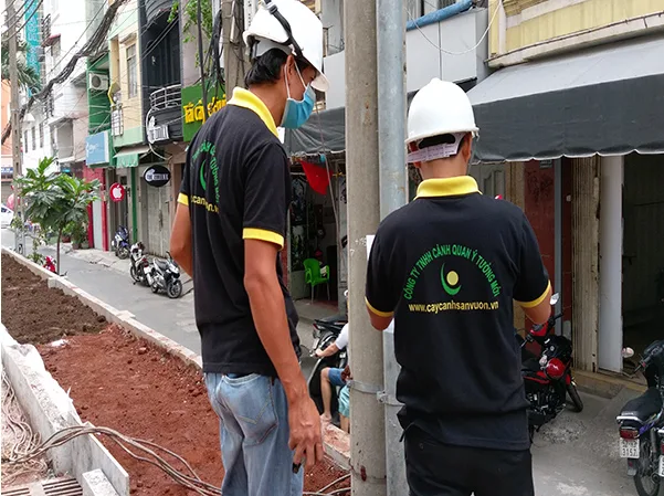 Thiết kế thi công cảnh quan trung tâm thương mại Vạn Hạnh Mall quận 10