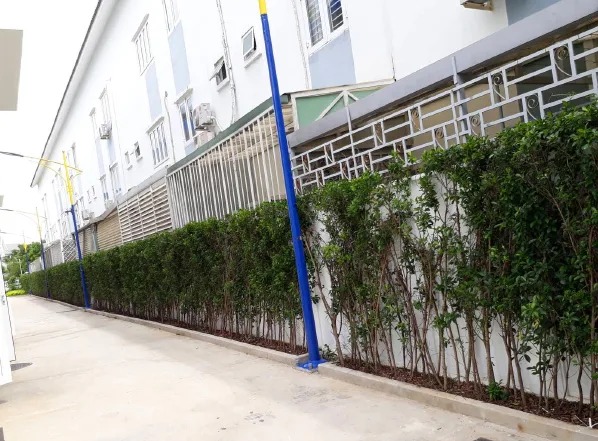 Thiết kế thi công cảnh quan trường mầm non Blue Sky