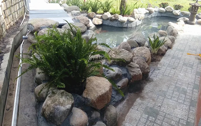 Thiết kế thi công sân vườn biệt thự tại Bình Dương