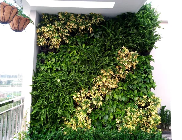 Thiết kế thi công sân vườn Bình Chánh – Cô Phước