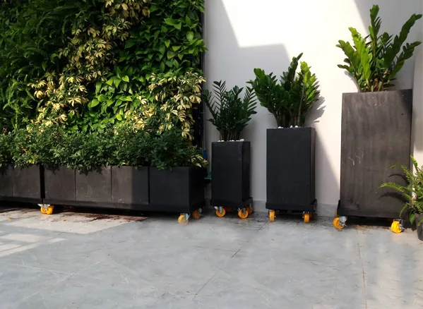 Thiết kế thi công sân vườn Bình Chánh – Cô Phước