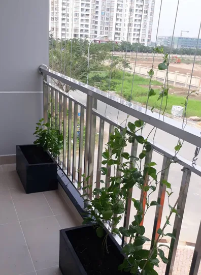 Thiết kế thi công sân vườn Bình Chánh – Cô Phước