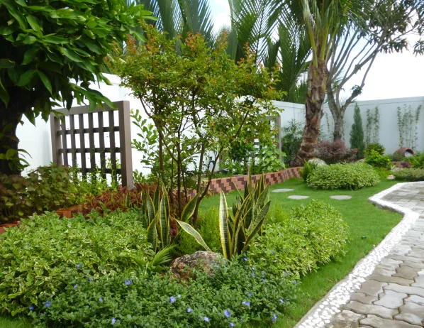 Thiết kế thi công sân vườn Nhà Bè