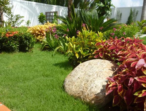 Thiết kế thi công sân vườn Nhà Bè