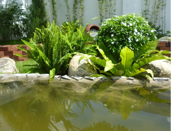 Thiết kế thi công sân vườn Nhà Bè
