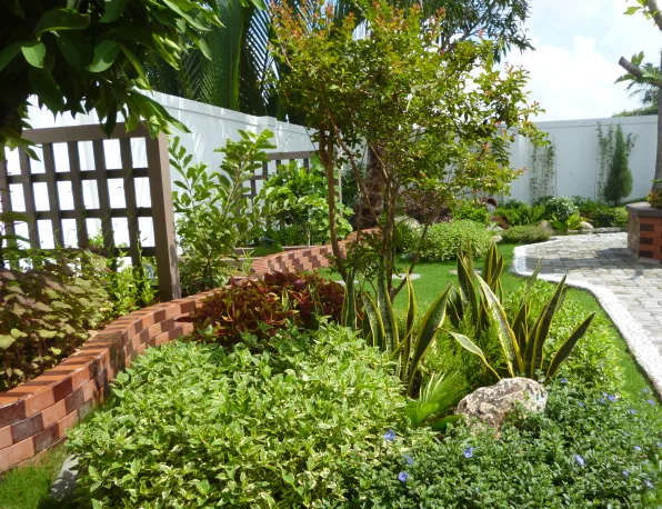 Thiết kế thi công sân vườn Nhà Bè