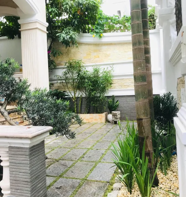 Thiết kế thi công sân vườn nhà phố City Land quận 7