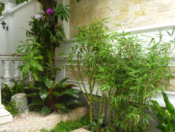Thiết kế thi công sân vườn nhà phố City Land quận 7