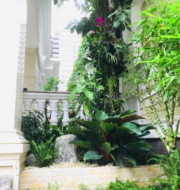 Thiết kế thi công sân vườn nhà phố City Land quận 7