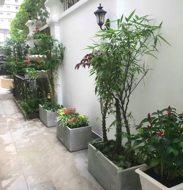 Thiết kế thi công sân vườn nhà phố City Land quận 7