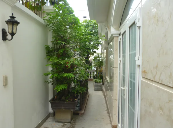 Thiết kế thi công sân vườn nhà phố City Land quận 7
