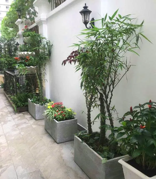 Thiết kế thi công sân vườn nhà phố City Land quận 7