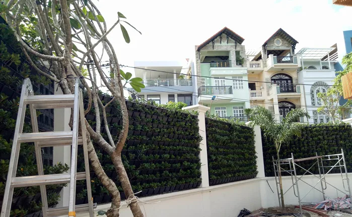 Thiết kế thi công sân vườn nhà phố - KDC Trung Sơn