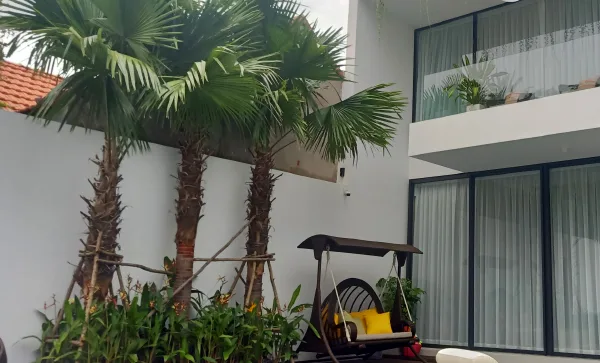 Thiết kế thi công sân vườn nhà phố quận 10