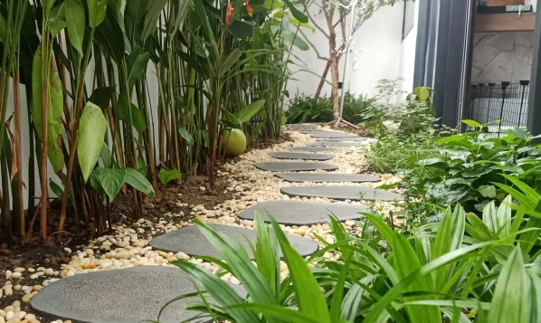 Thiết kế thi công sân vườn nhà phố quận 10