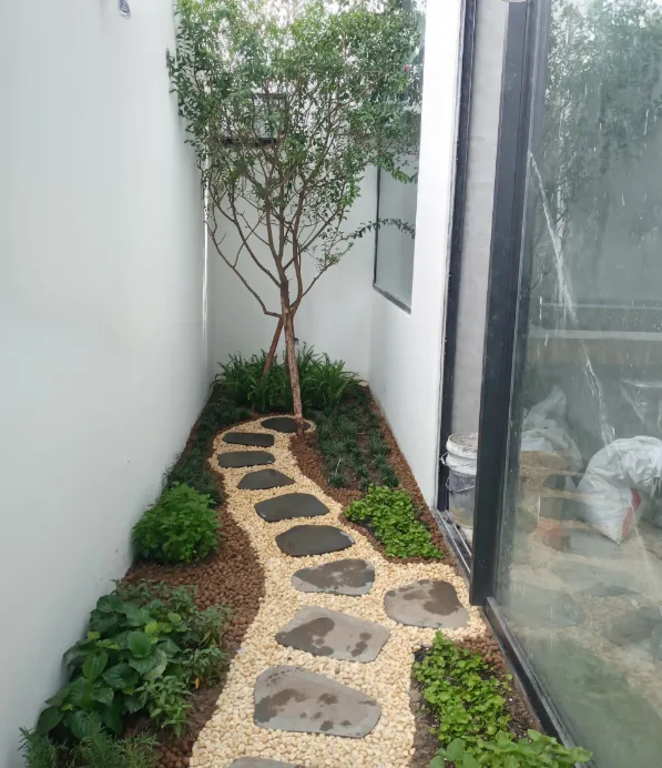 Thiết kế thi công sân vườn nhà phố quận 10