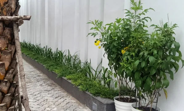 Thiết kế thi công sân vườn nhà phố quận 10